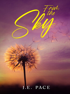 cover image of From the Sky